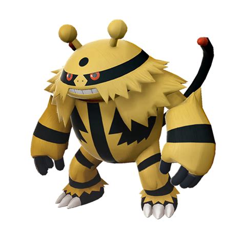 electivire Arceus